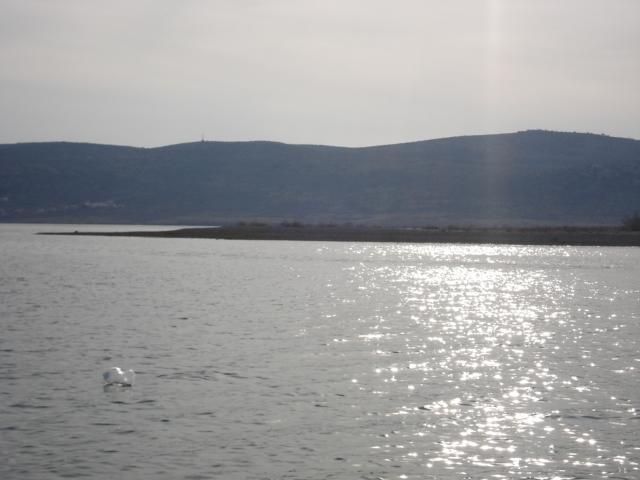 Apartments Zile Starigrad Paklenica Buitenkant foto